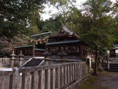 伊射奈岐神社 鳥居と社殿
