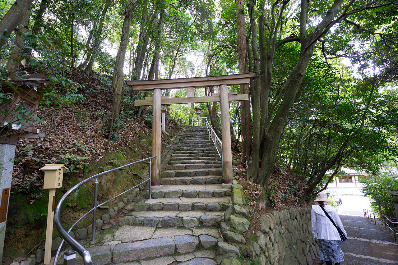 活日神社 鳥居と石段
