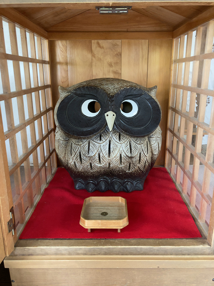 知恵ふくろう