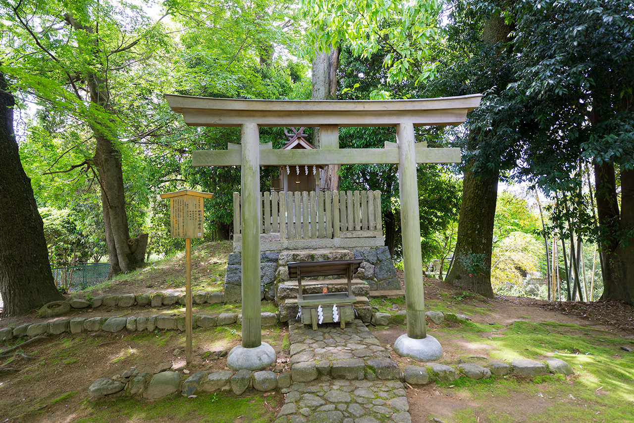 神坐日向神社 鳥居と社殿