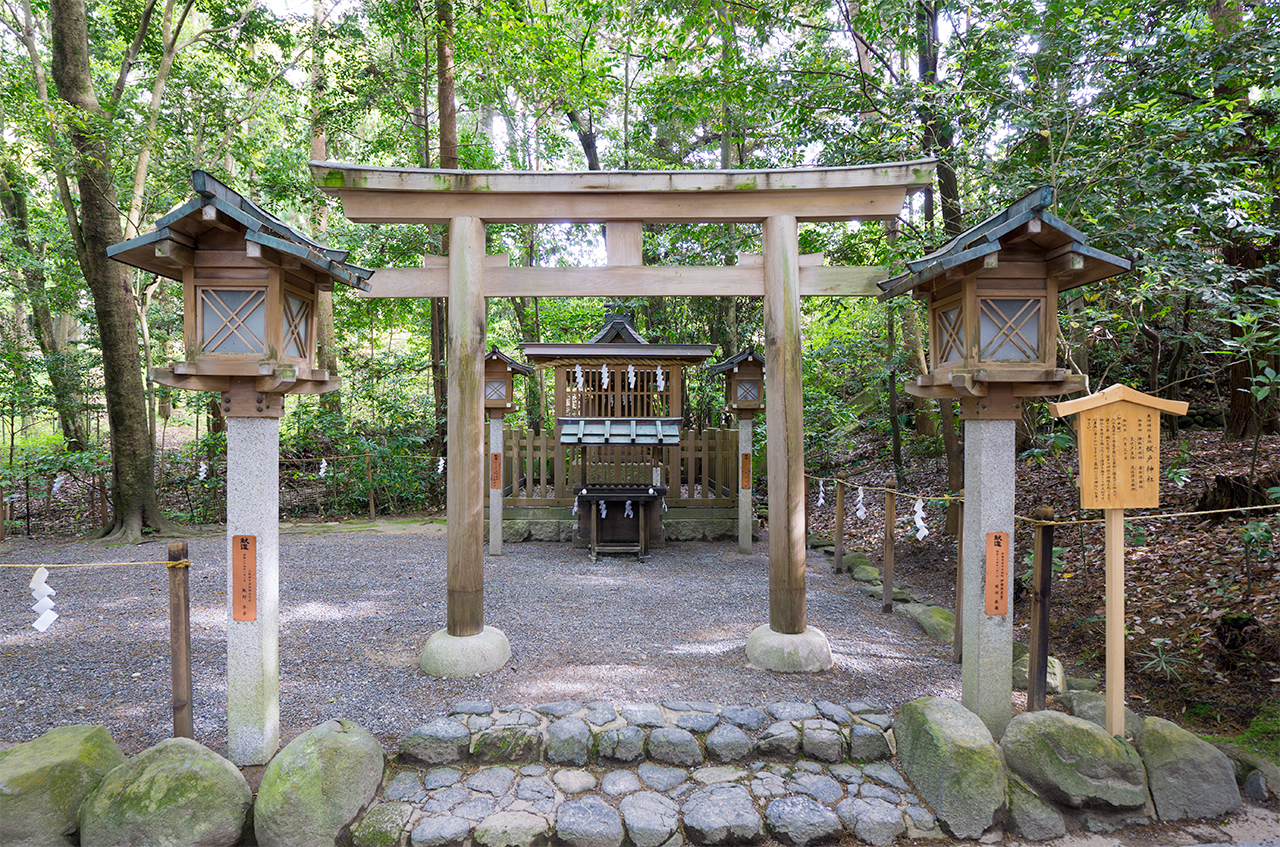 祓戸神社 鳥居と拝殿