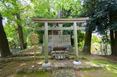 大神神社 神坐日向神社 鳥居と社殿