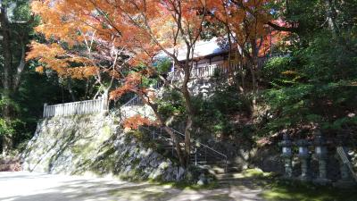 葛木坐火雷神社 階段と拝殿