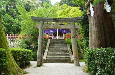 高鴨神社 鳥居と拝殿