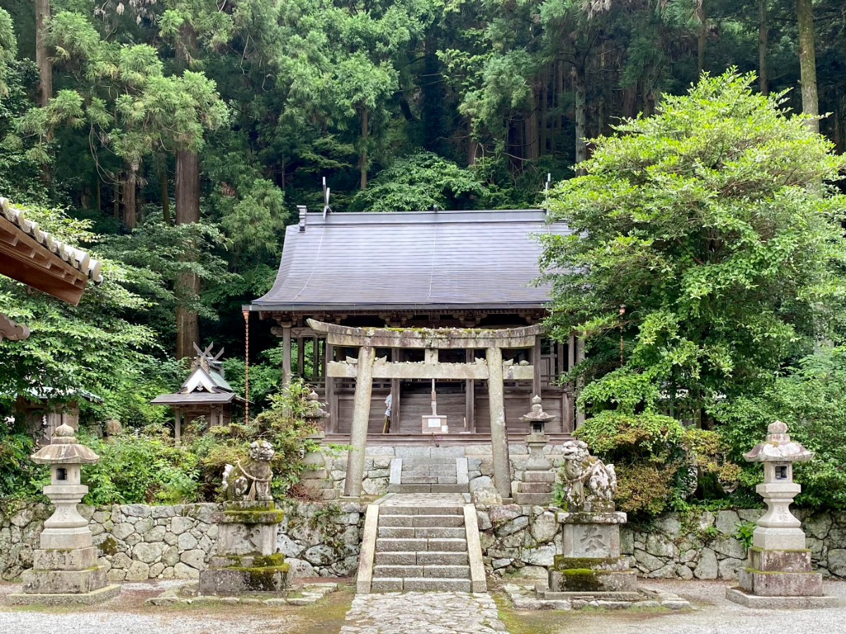 鳥居と本殿