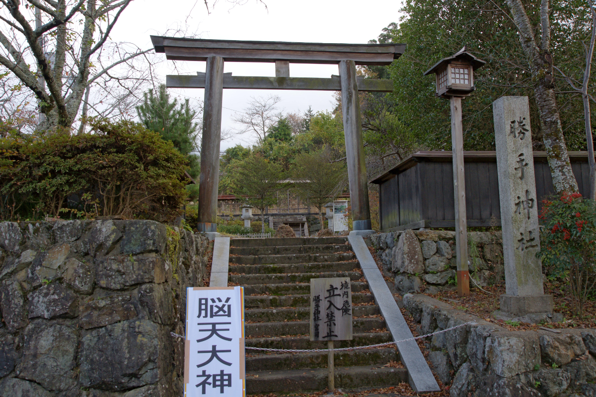 社号標と鳥居
