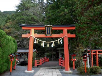 天河大弁財天社 鳥居