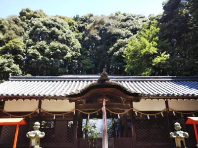 高山八幡宮 拝殿