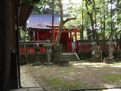 春日神社 鳥居と本殿