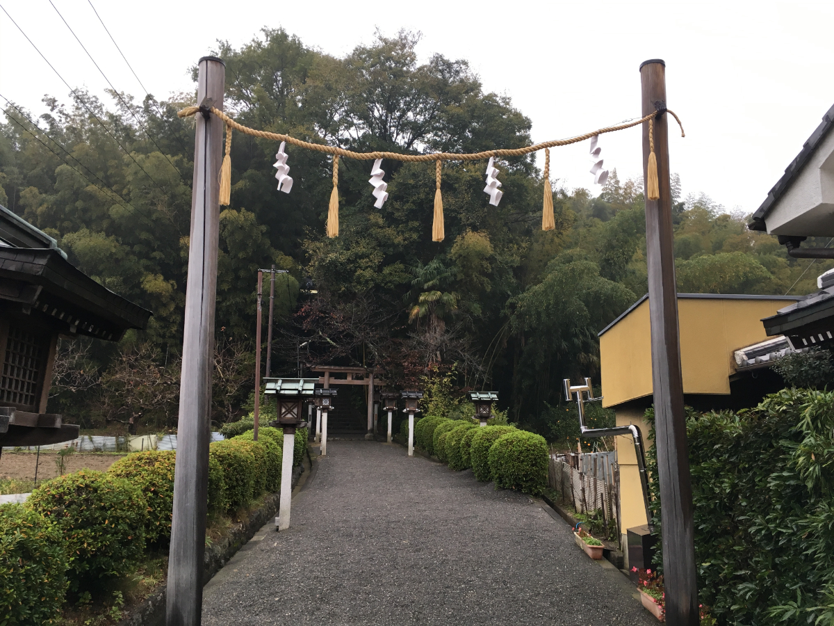 鳥居と参道