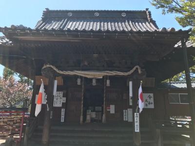 蒲原神社 拝殿