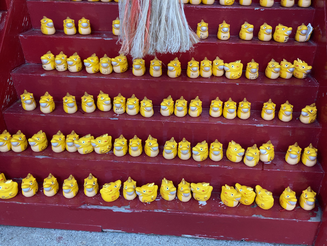 黄龍神社に奉納されている黄龍おみくじ