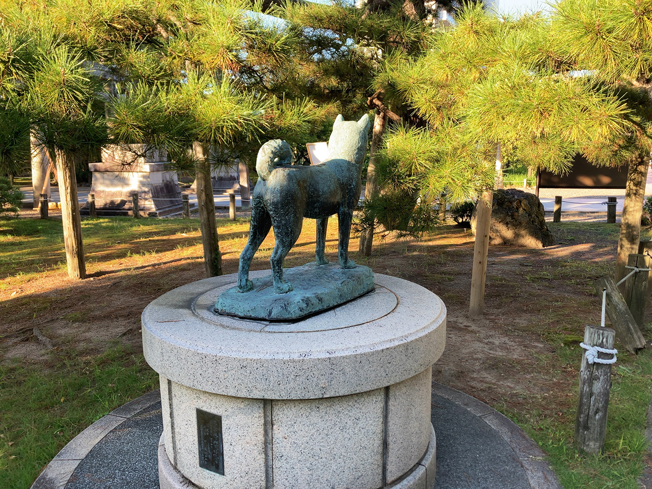 忠犬タマ公像の後ろ姿