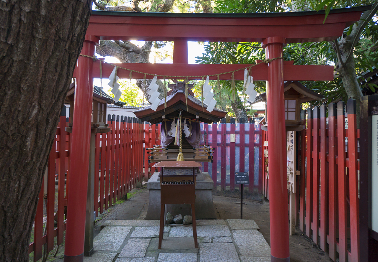 蛇松神社 鳥居と社殿