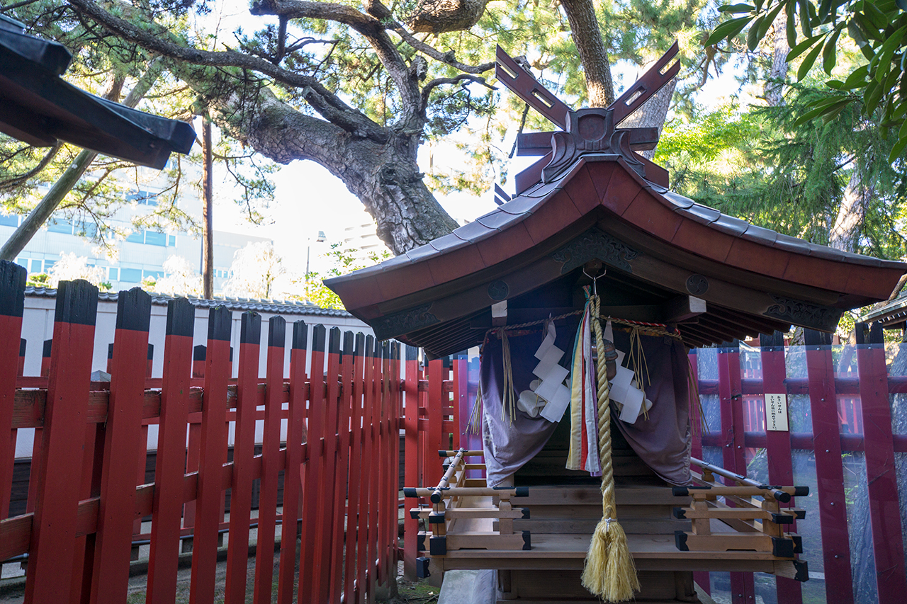 蛇松神社 社殿と松の木