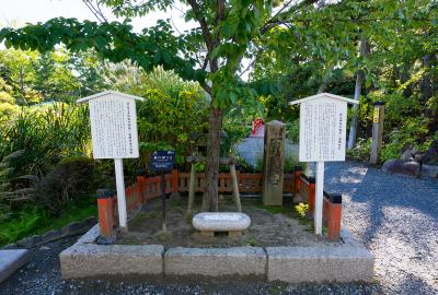 白山神社 歯の神様全体
