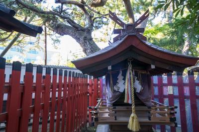 白山神社 蛇松神社 社殿と松の木