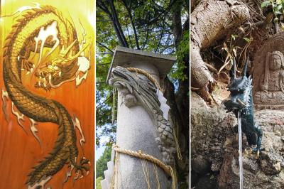 高龍神社 高龍神社境内の龍