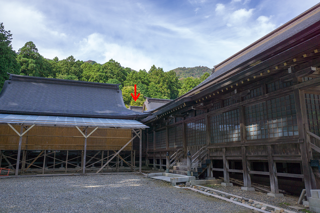 弥彦神社 本殿
