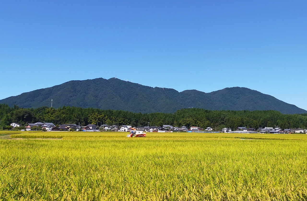 弥彦山