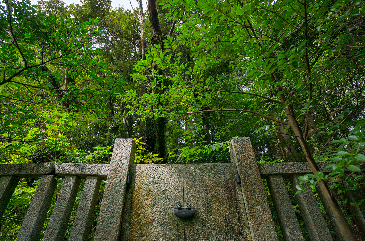 弥彦神社 神木石柵