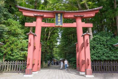 彌彦神社 弥彦神社 一の鳥居