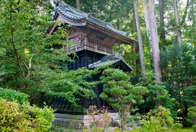 彌彦神社 弥彦神社 鼓楼 ななめ