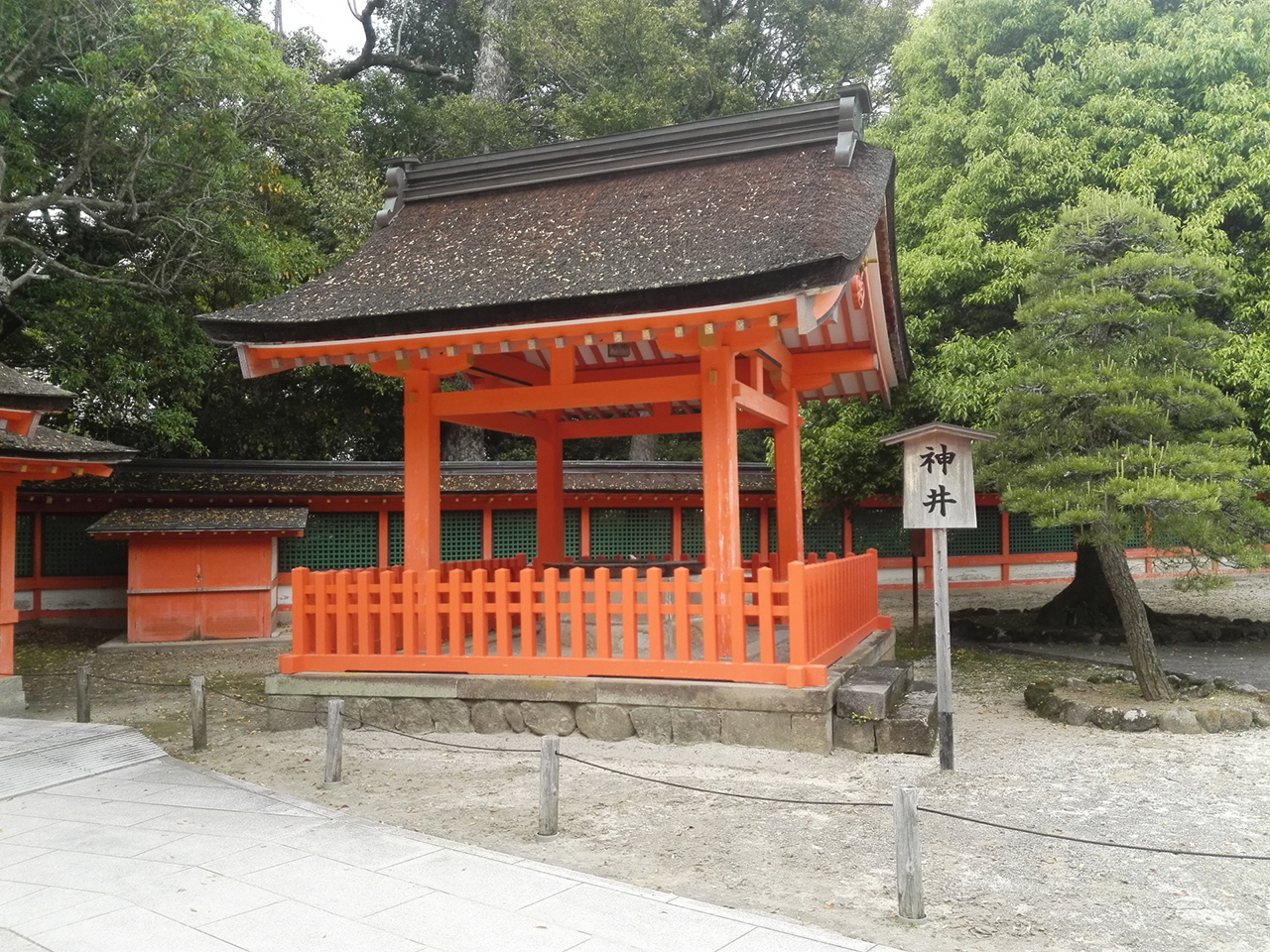 神井