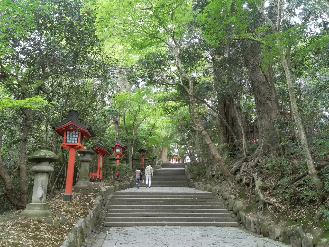 常緑広葉樹林に囲まれた参道
