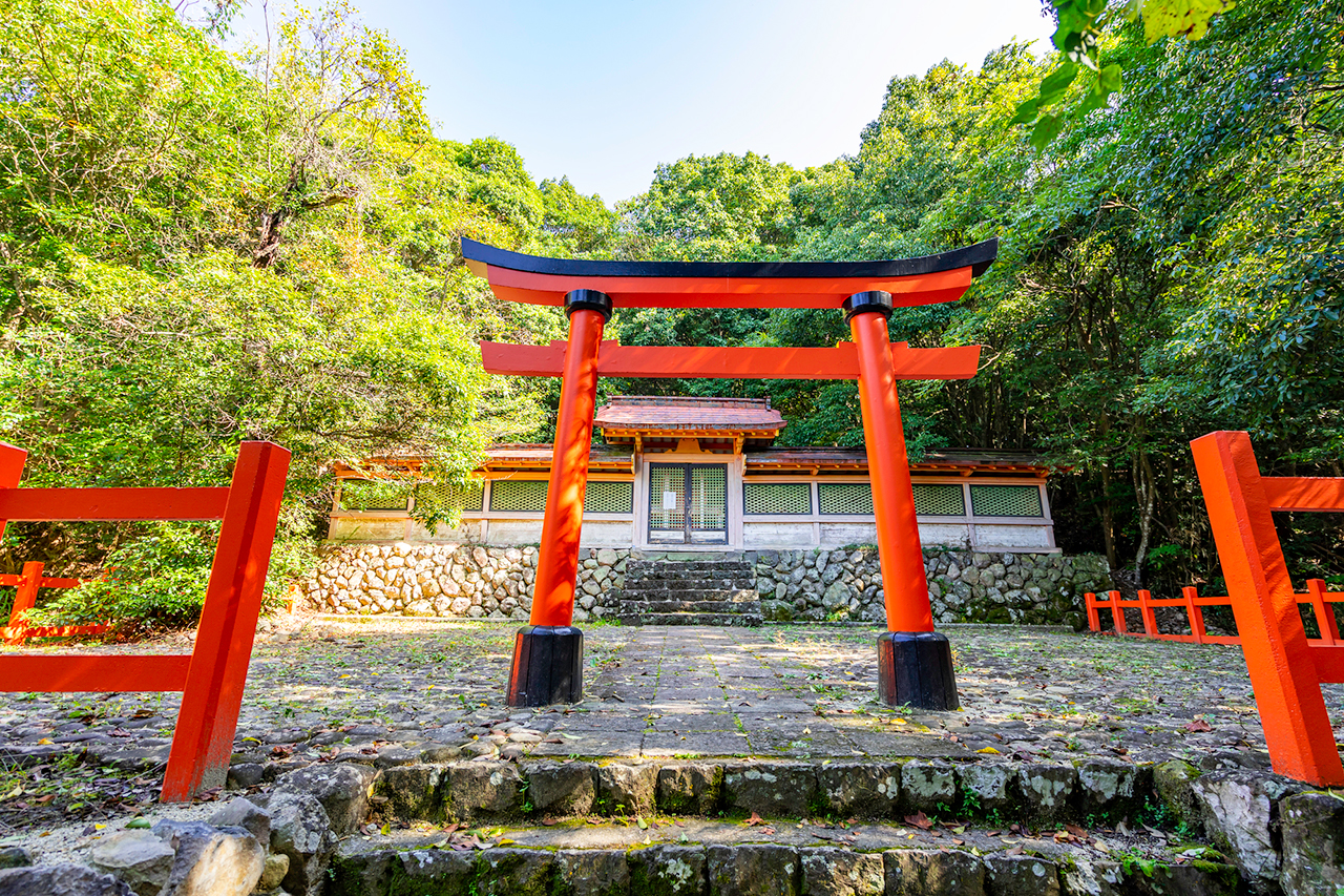 護皇神社 社殿