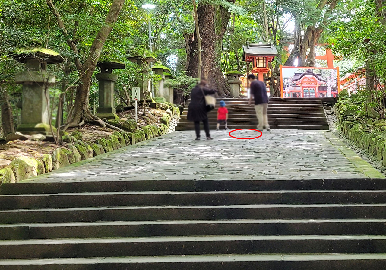 参道中の夫婦石