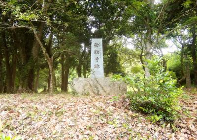 宇佐神宮 弥勒寺跡