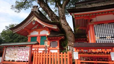 宇佐神宮 八子神社