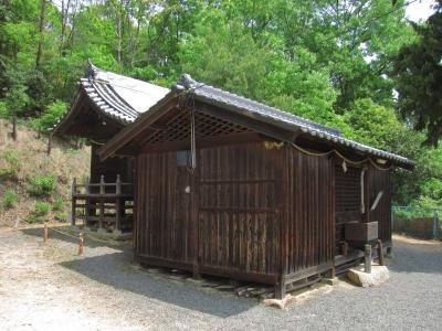 天津神社 拝殿と本殿