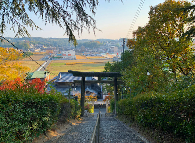 鳥居と階段