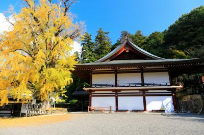 吉備津神社 紅葉した黄金色のいちょう神木