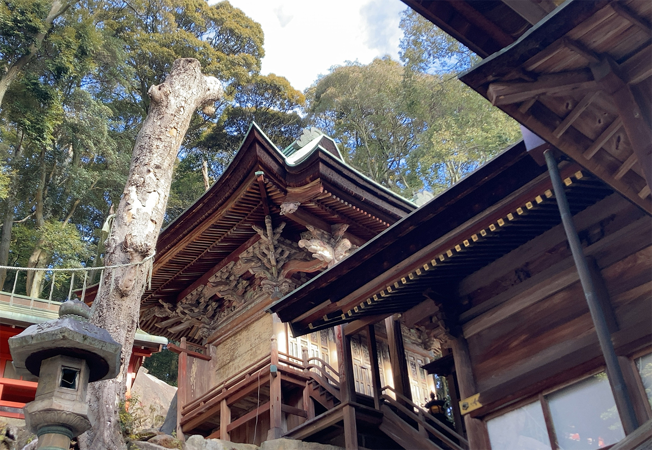 本殿 横から