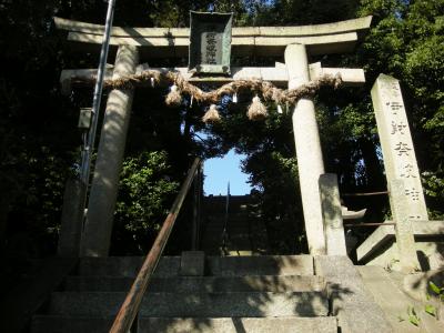 伊射奈岐神社 鳥居