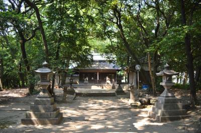 新屋坐天照御魂神社 拝殿