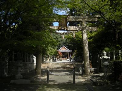 磐手杜神社 鳥居と拝殿