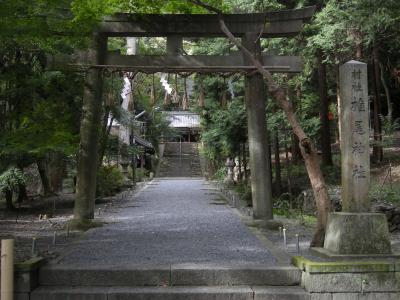 椎尾神社 鳥居と社号標