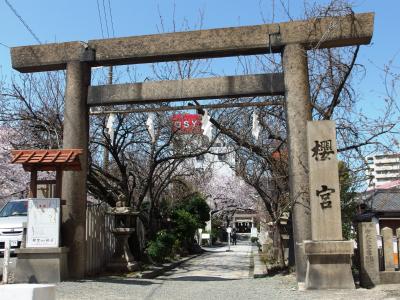 櫻宮 鳥居と参道