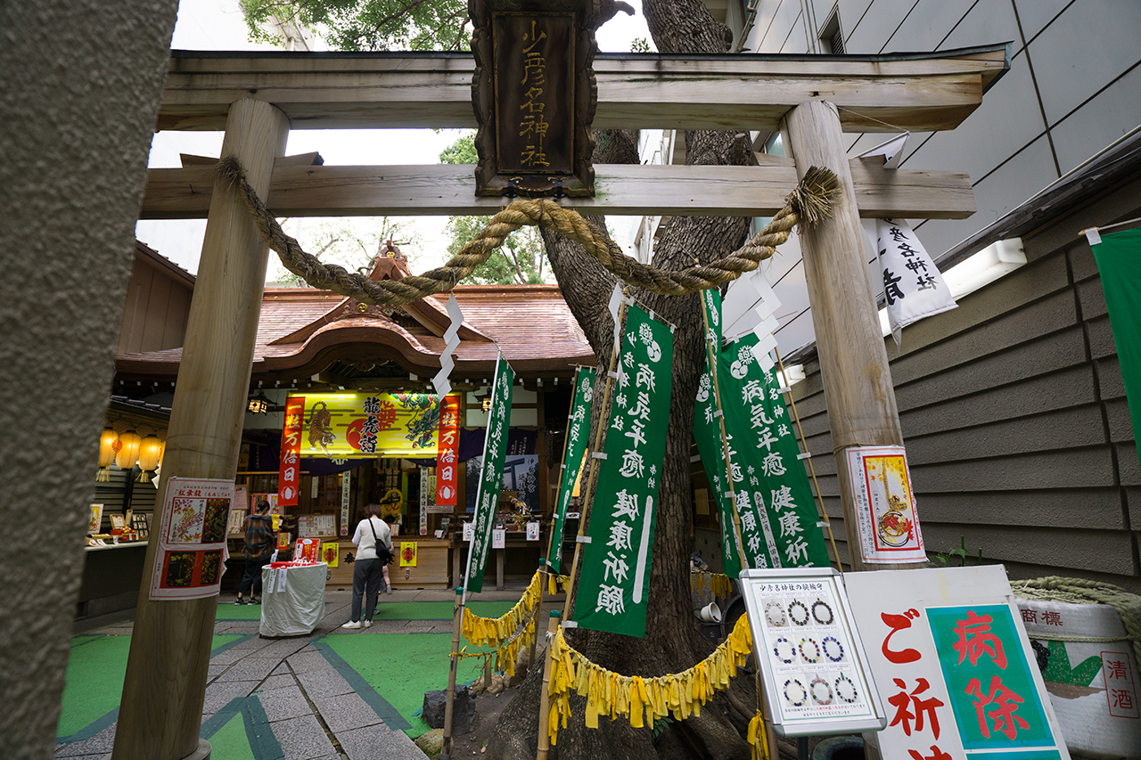 鳥居と御神木と御社殿