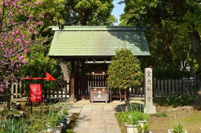 生國魂神社 生國魂神社 皇大神宮 拝殿
