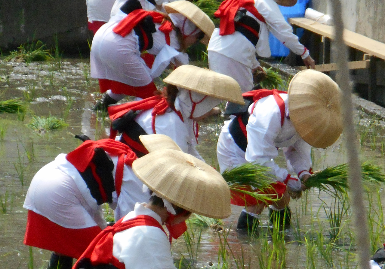御田植神事