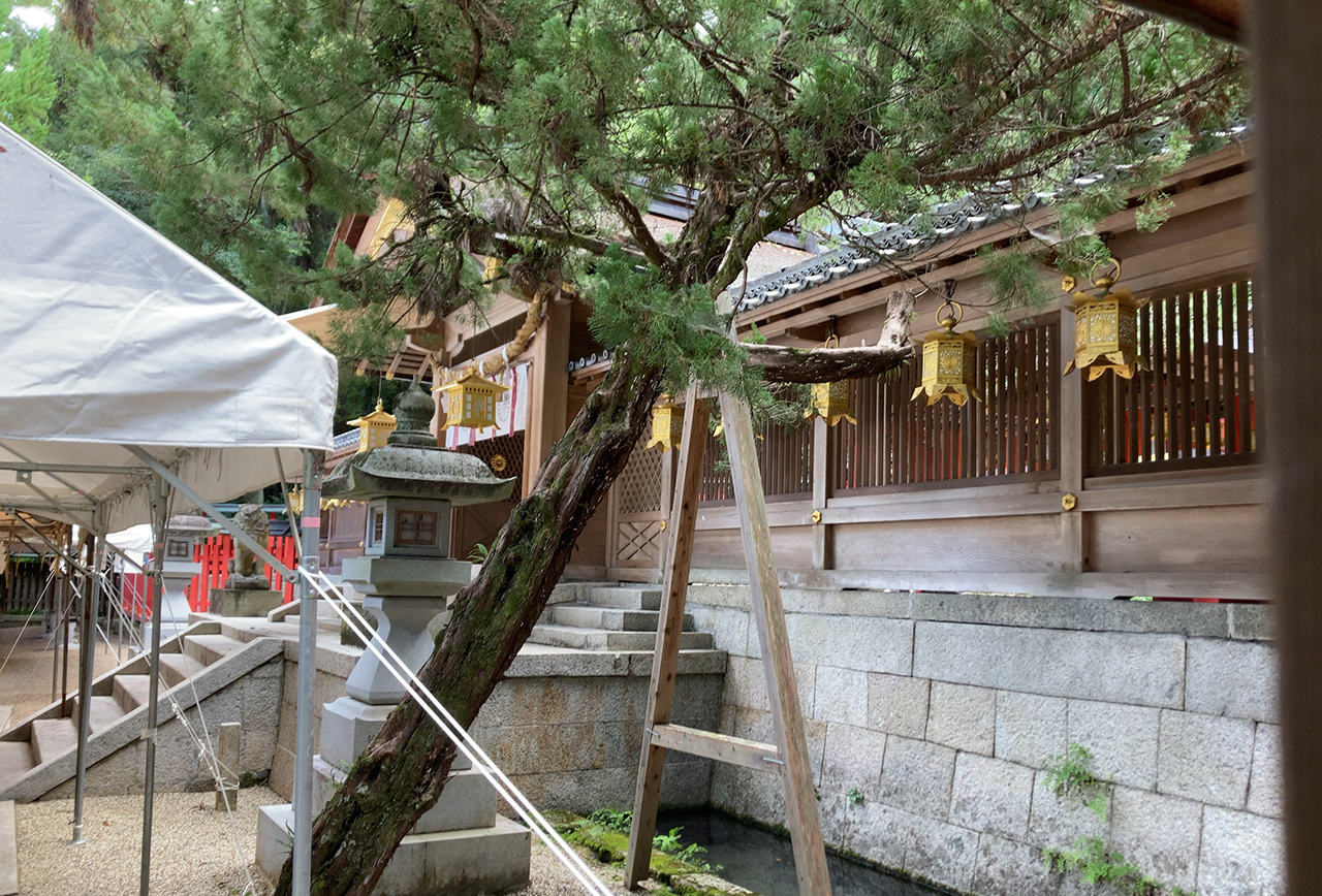 枚岡神社 中門