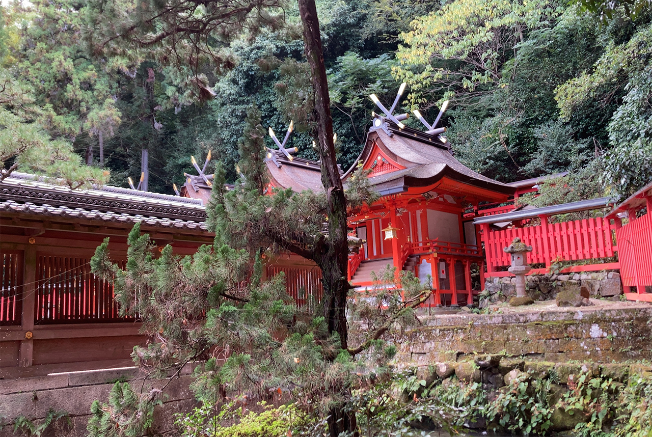 枚岡神社 池越しに見える御本殿