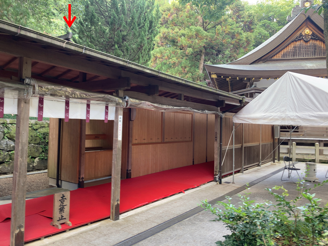枚岡神社 御神木の柏槙が見れる場所