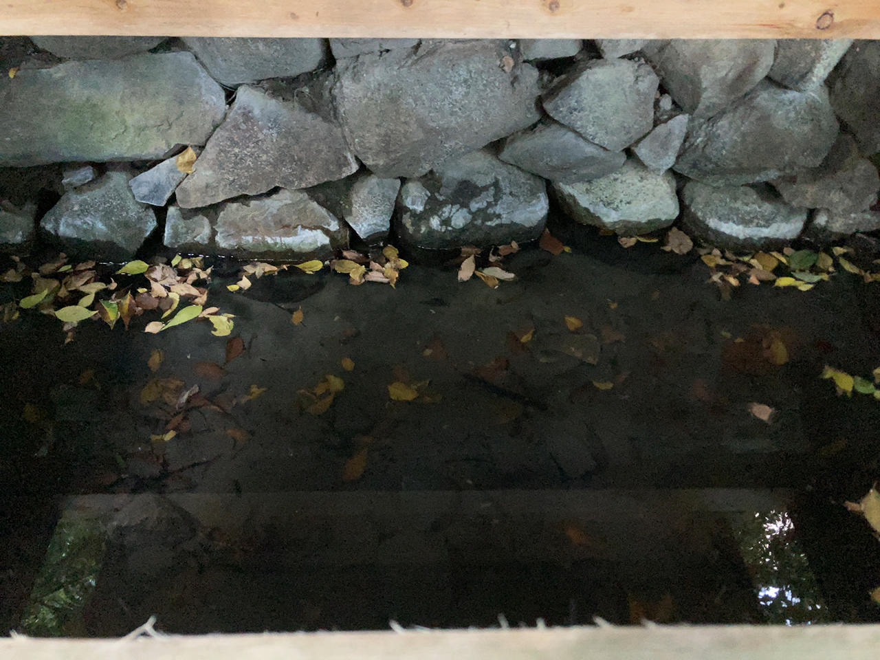 枚岡神社 白水井 現在の水の状況