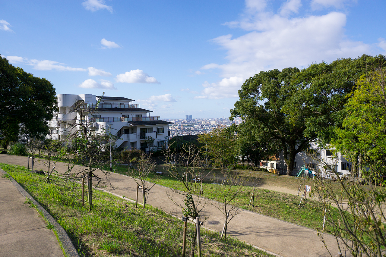 枚岡神社 咲いてない梅林